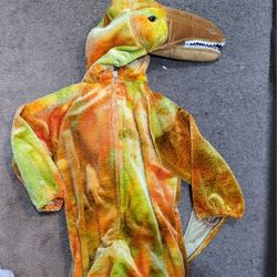 Dinosaur Costume  6-7