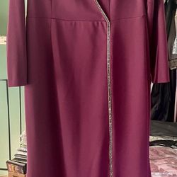 Adrianna Papell Eggplant Women Dress (12)