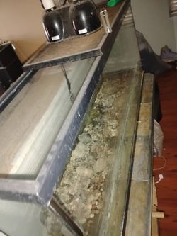 Turtle/fish tank with heat lamps and half top grid