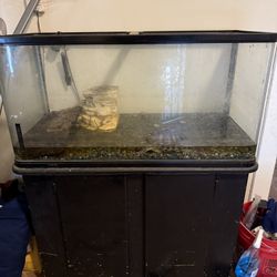 Fish/Turtle Aquarium