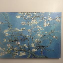 Cherry Blossom Blue Canvas Print