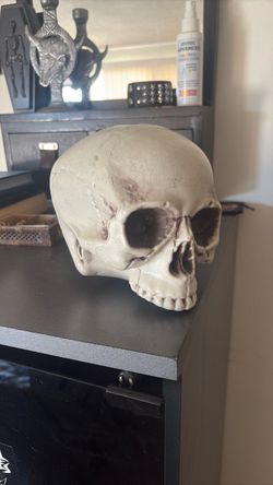 skull decoration
