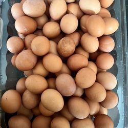 EGGS ORGANIC FARM FRESH 5.00 Per (12) 