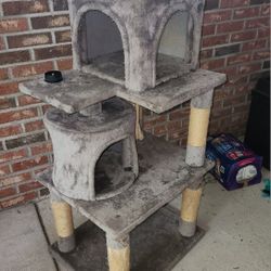 Cat Tree