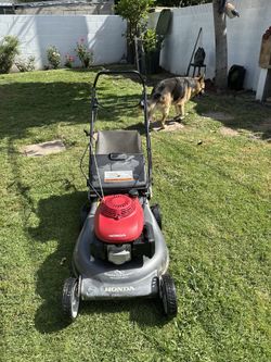 Lawnmower Honda HRS216 Gas Lawn Mower Self Propelled