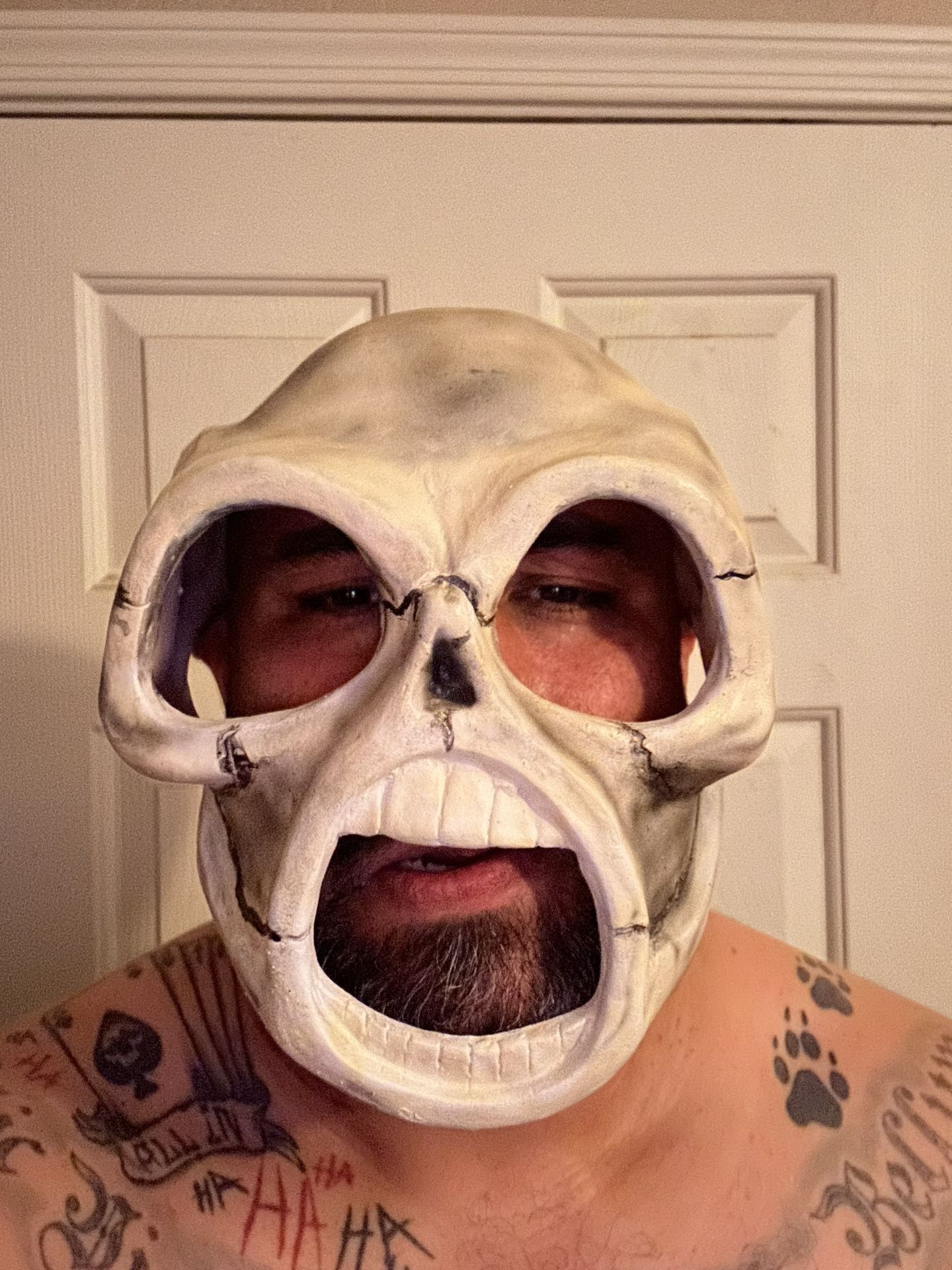 Slipknot Sid Wilson Mask
