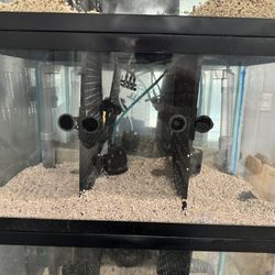 Aqueon 10 Gallon Fish Tanks