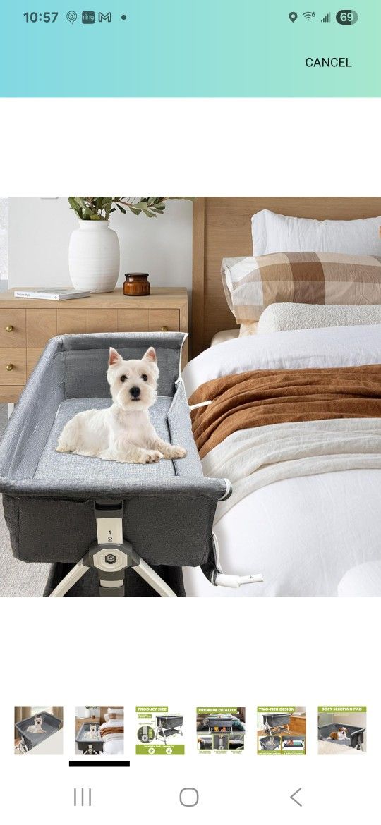 Dog Bunk Bed
