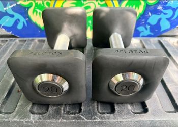 PAIR  OF  20 LB.  PELOTON  RUBBER  DUMBBELLS