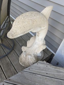 Dolphin