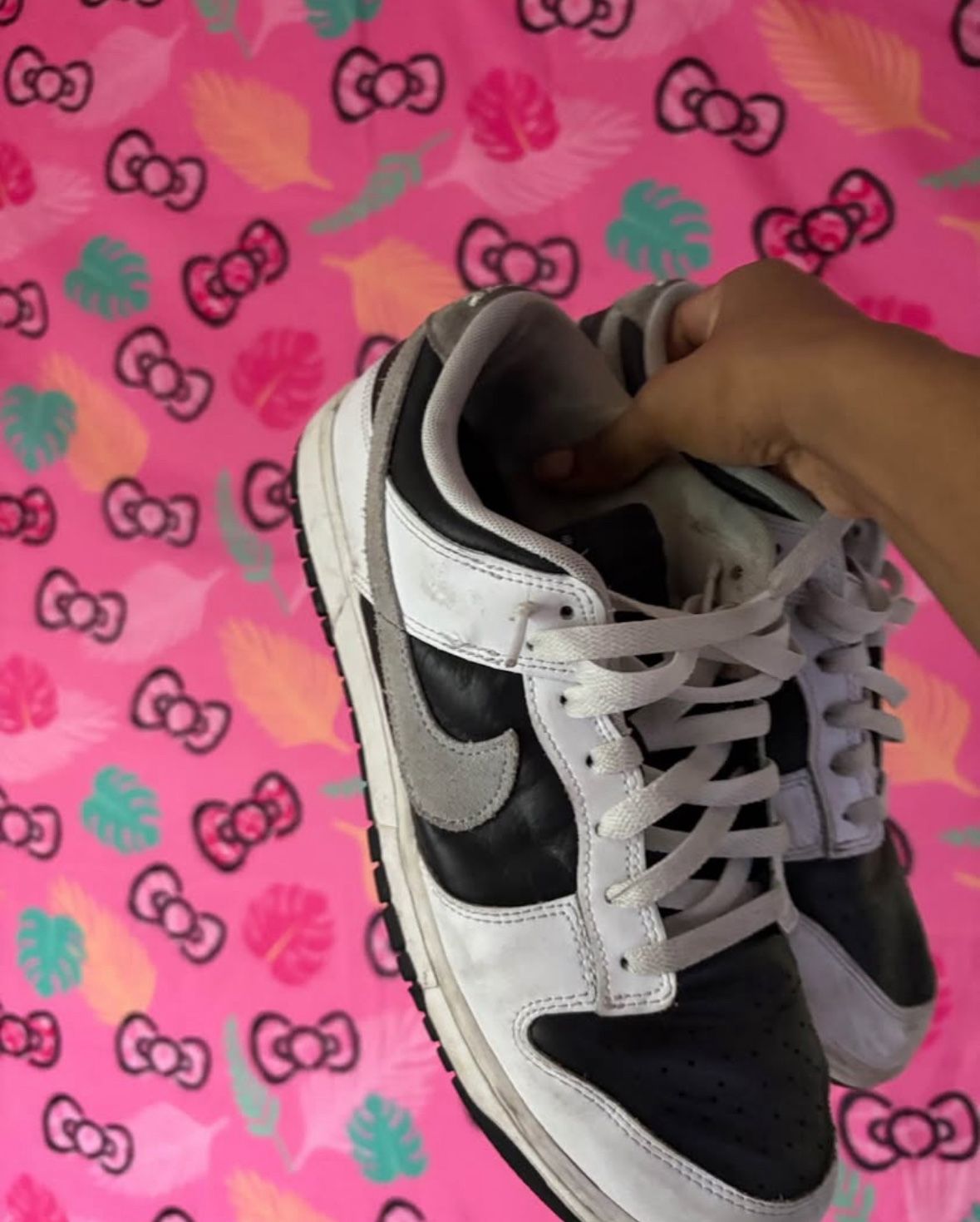 Men Nike Dunks size 11