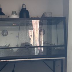 40 Gallon Reptile Tank