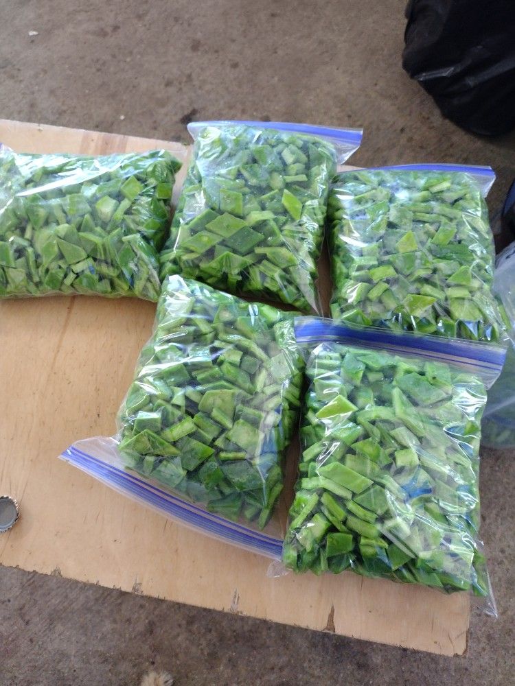 Nopalitos Picados Orgánico Resien Cortados
