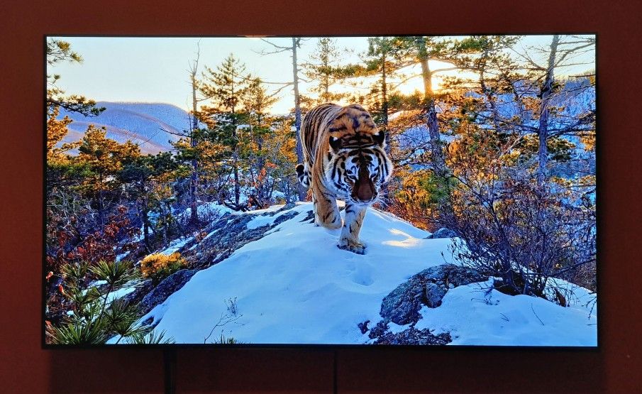 LG 55 Inch C2 Oled. 4k/120hz-excellent Condition.
