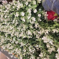 8x8 Backdrop Wedding 