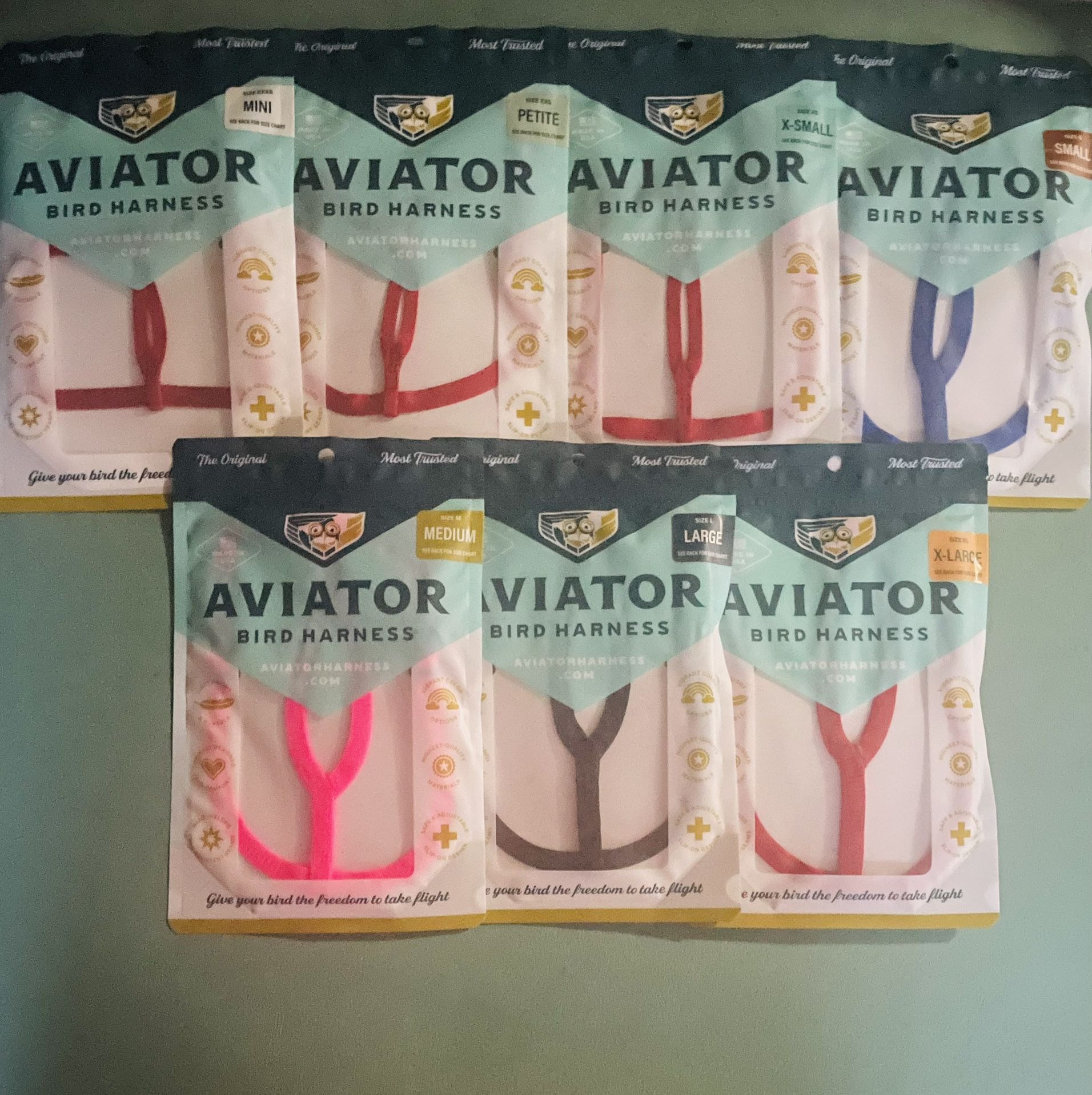 Aviator Bird harness