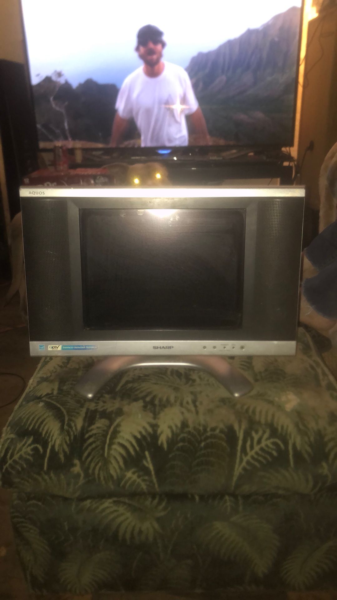 Sharp Aquos Monitor Screen