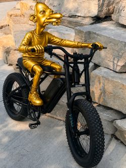 Ridstar Q20 (neegy not included 😢)