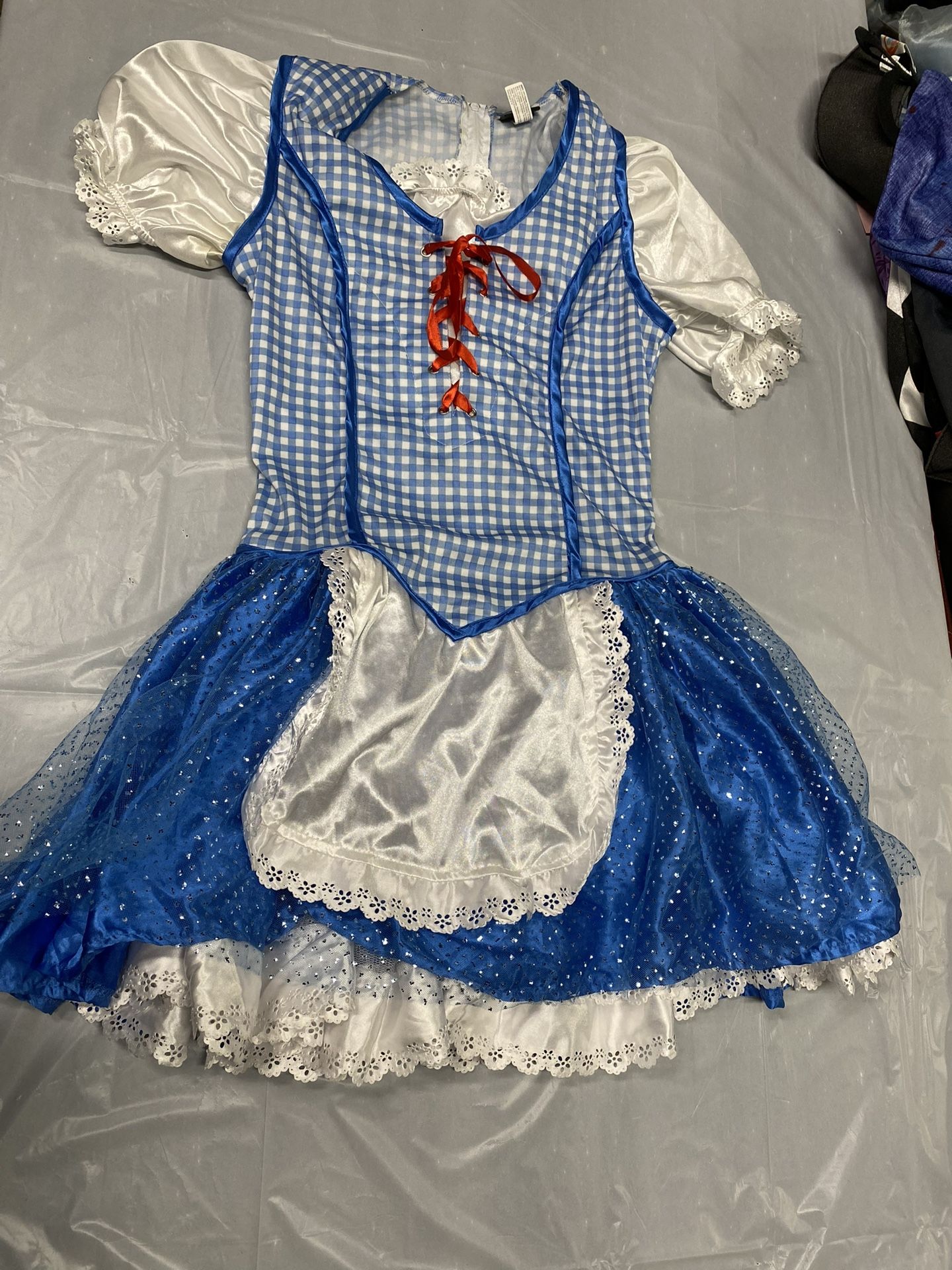 The Wizard Of Oz Dorothy Halloween Costume.