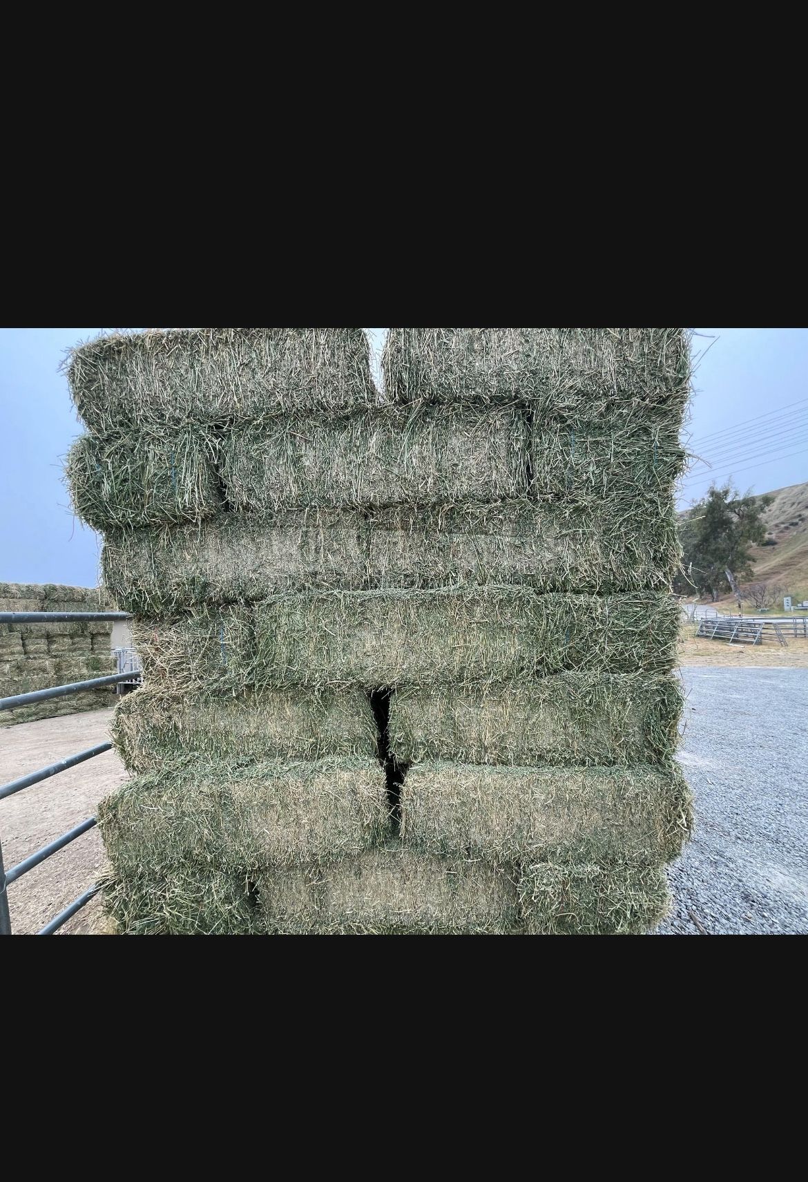 Horse Quality Hay