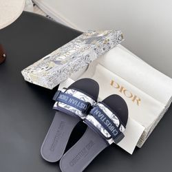 Dior CD Women’s Shoes With Box 2026 New 