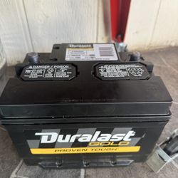 Duralast (Gold) Battery 