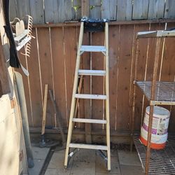 Werner Ladder