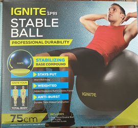 Ignite stable ball 55cm sale