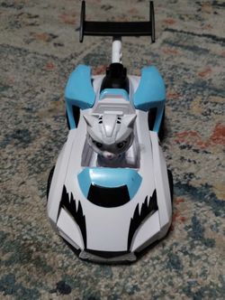 Paw patrol cat