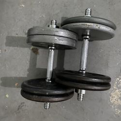 Weights/Dumbbells 