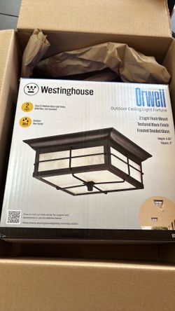 Outdoor ceiling light