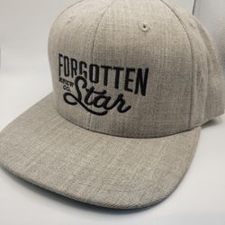 Forgotten Star Brewery Fridley, MN Snapback Style Flatbill Ball Cap Grey Wool