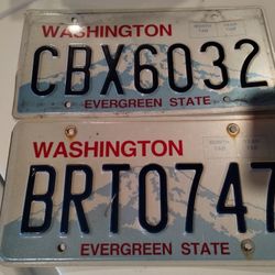 License plates for crafts