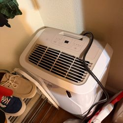 Delonghi pinguino ac