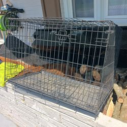 Large Dog Crate With Divider