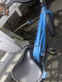 Adult Size Bike (Blue)