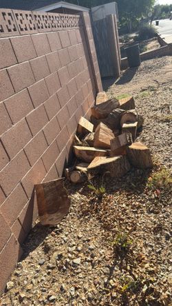 Free fire  wood