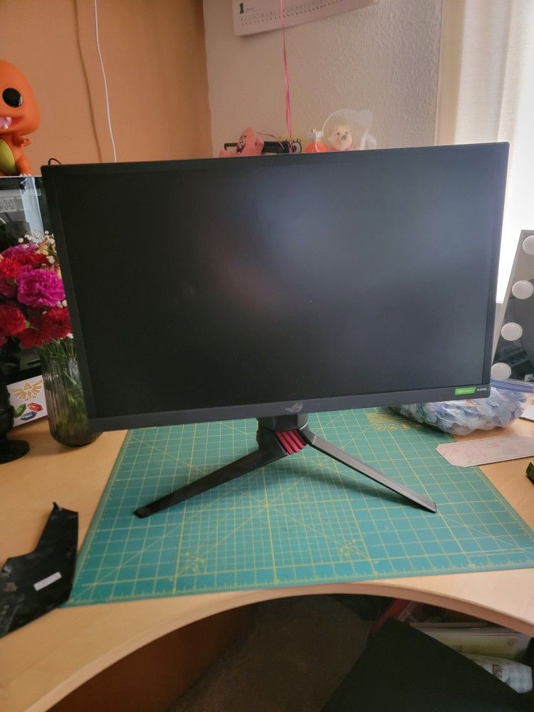 Rog Monitor (NO AC CABLE)