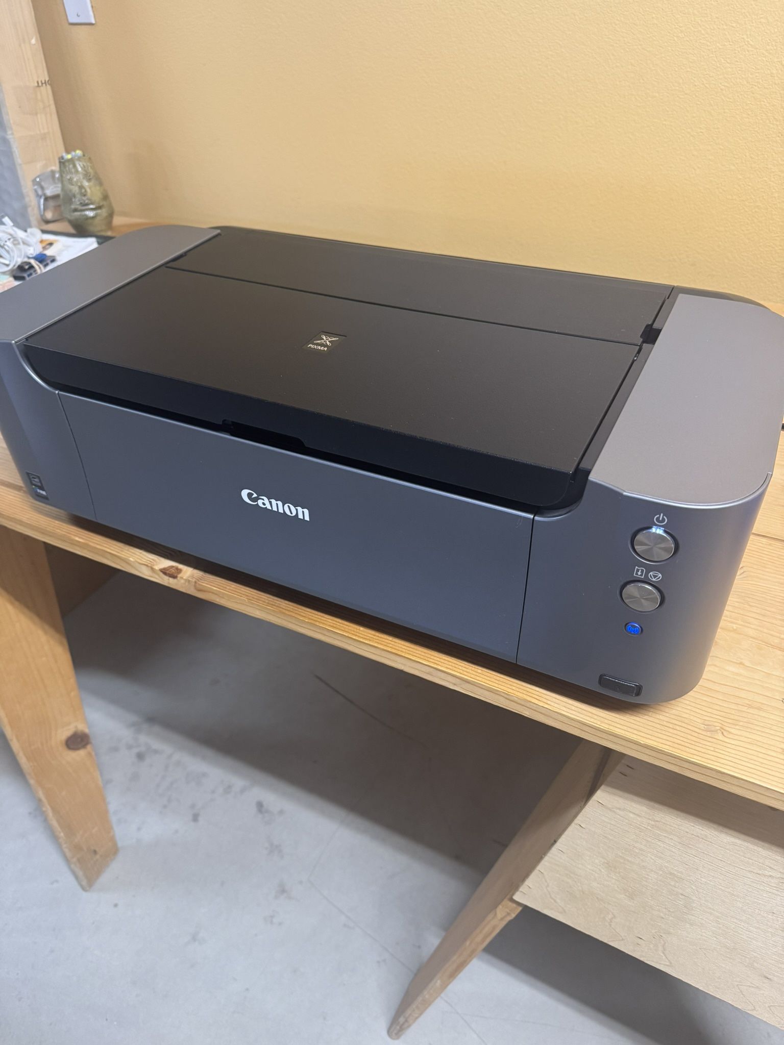 Canon Pixma Pro-100 Photo Printer - Mint Condition 