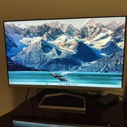 HP IPS LED 22” Monitors (2)