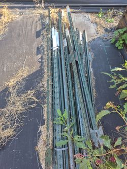 20 - 6ft fence t post with t post clips