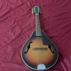 Vintage 1970s LERO mandolin neck looks like it was reglued I don’t play still cool Instrument