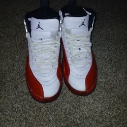 Jordan Retro12s 