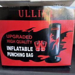 Inflatable Punching Bag