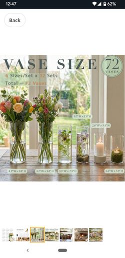 Big Glass Cylinder Vases 6,8,10 Inch for Centerpieces