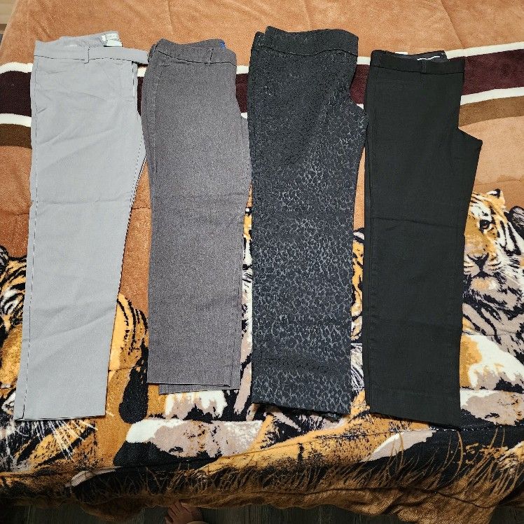 Woman's Dress Pants 