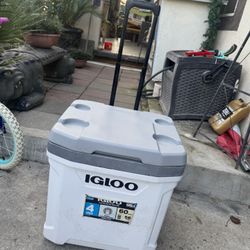 Igloo Cooler 