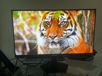 SANSUI 24.5” Gaming Monitor 300Hz FHD 1080p Fast IPS — Like New