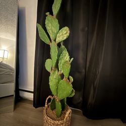 Fake Tall cactus Plant 