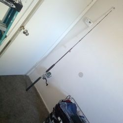 Fishing Pole And Rod Combo 